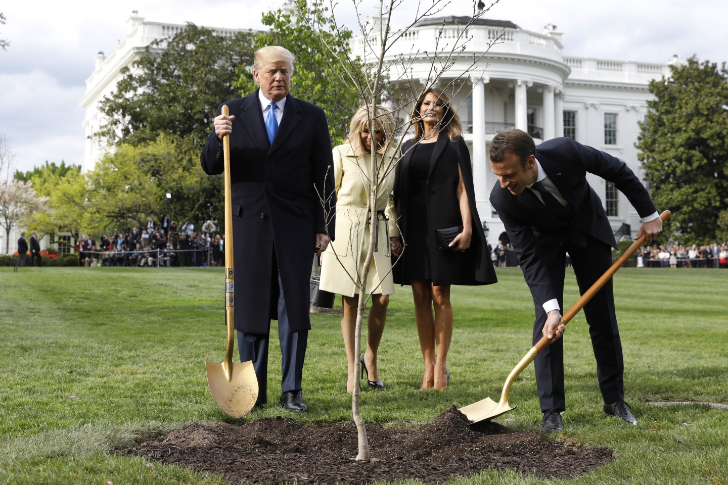 Trump and Macron shovel dirt onto sapling on White House lawn