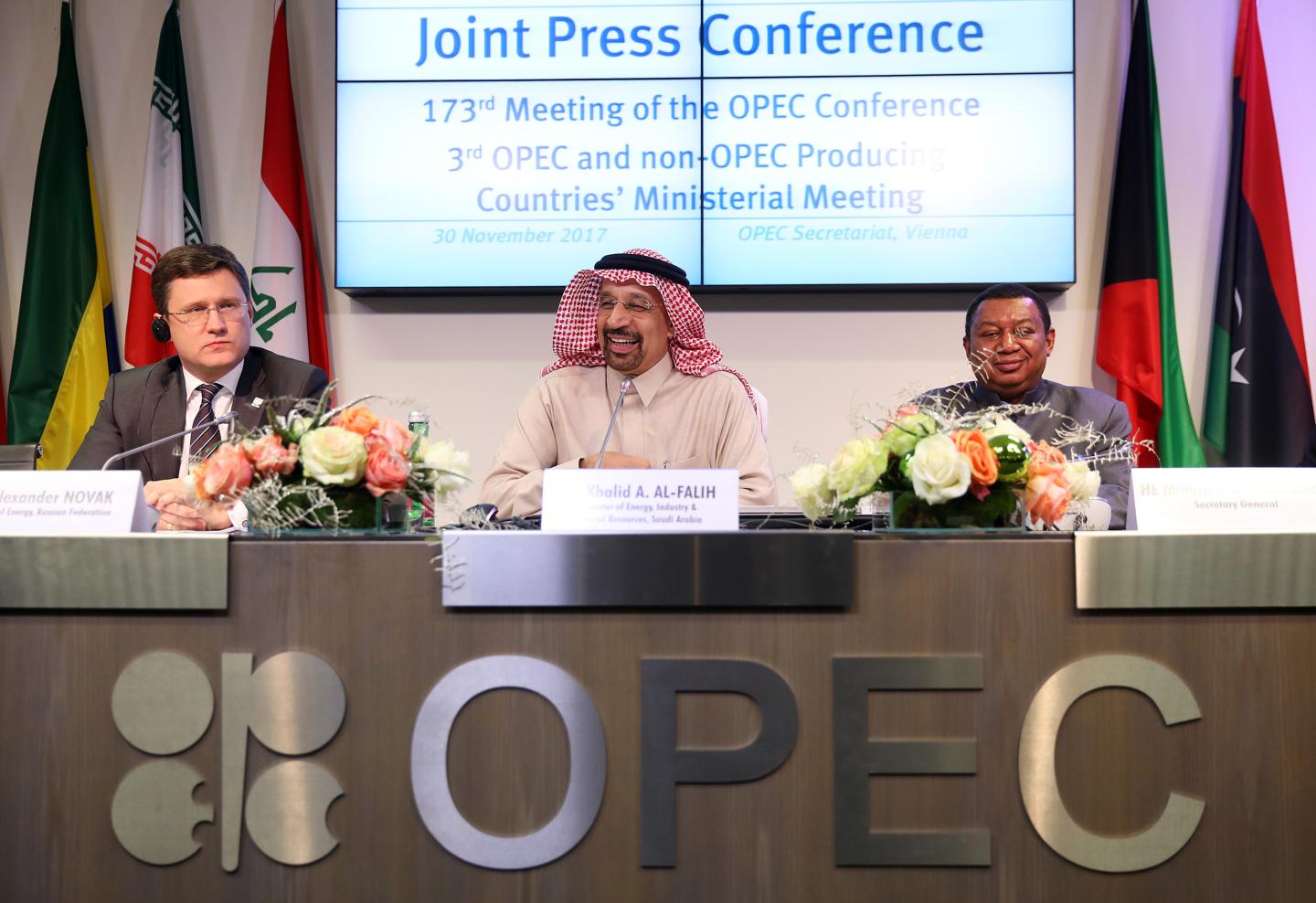 The 173rd Organization Of Petroleum Exporting Countries (OPEC) Conference