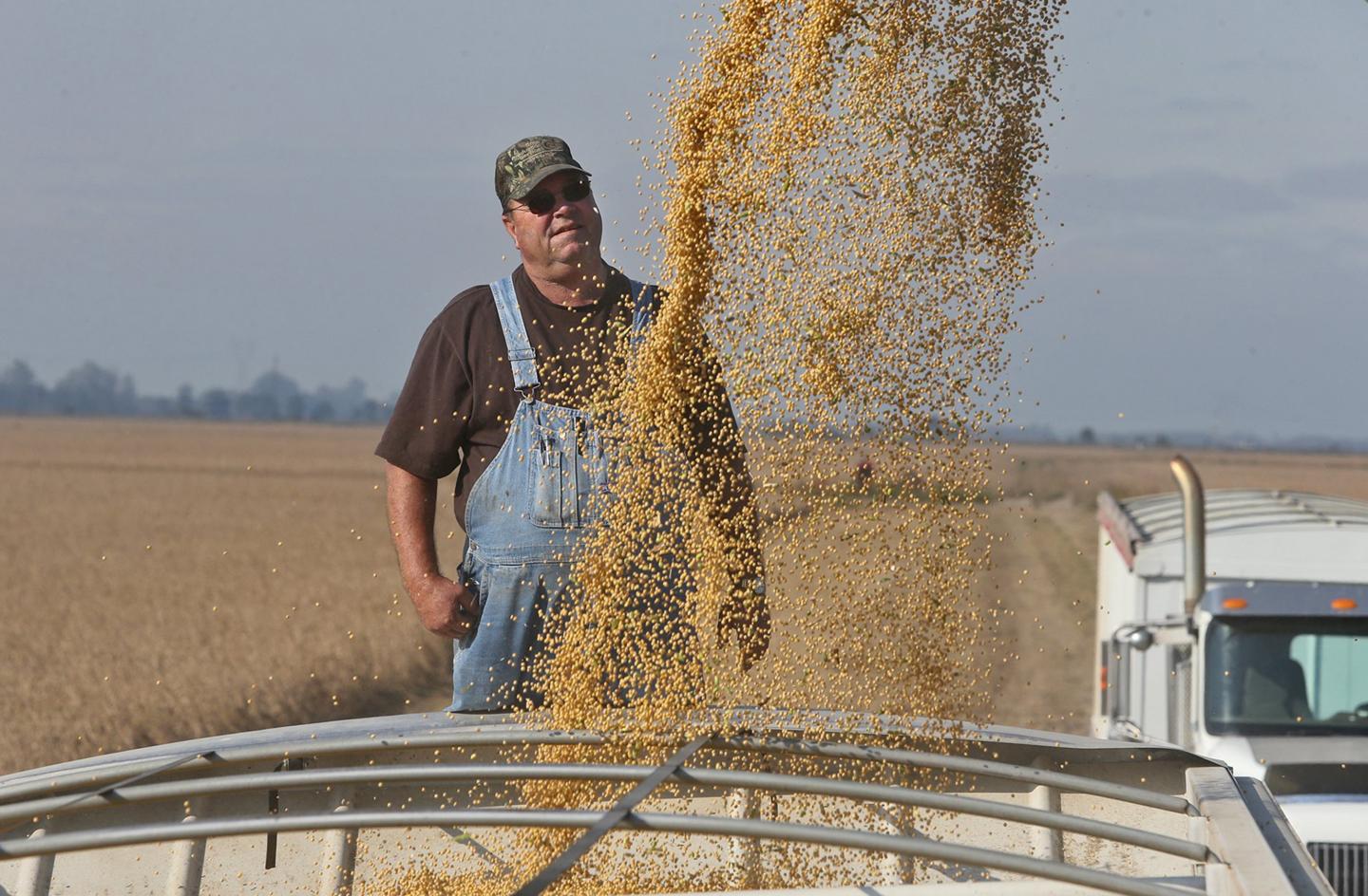 Donald Trump trade tariffs soybean