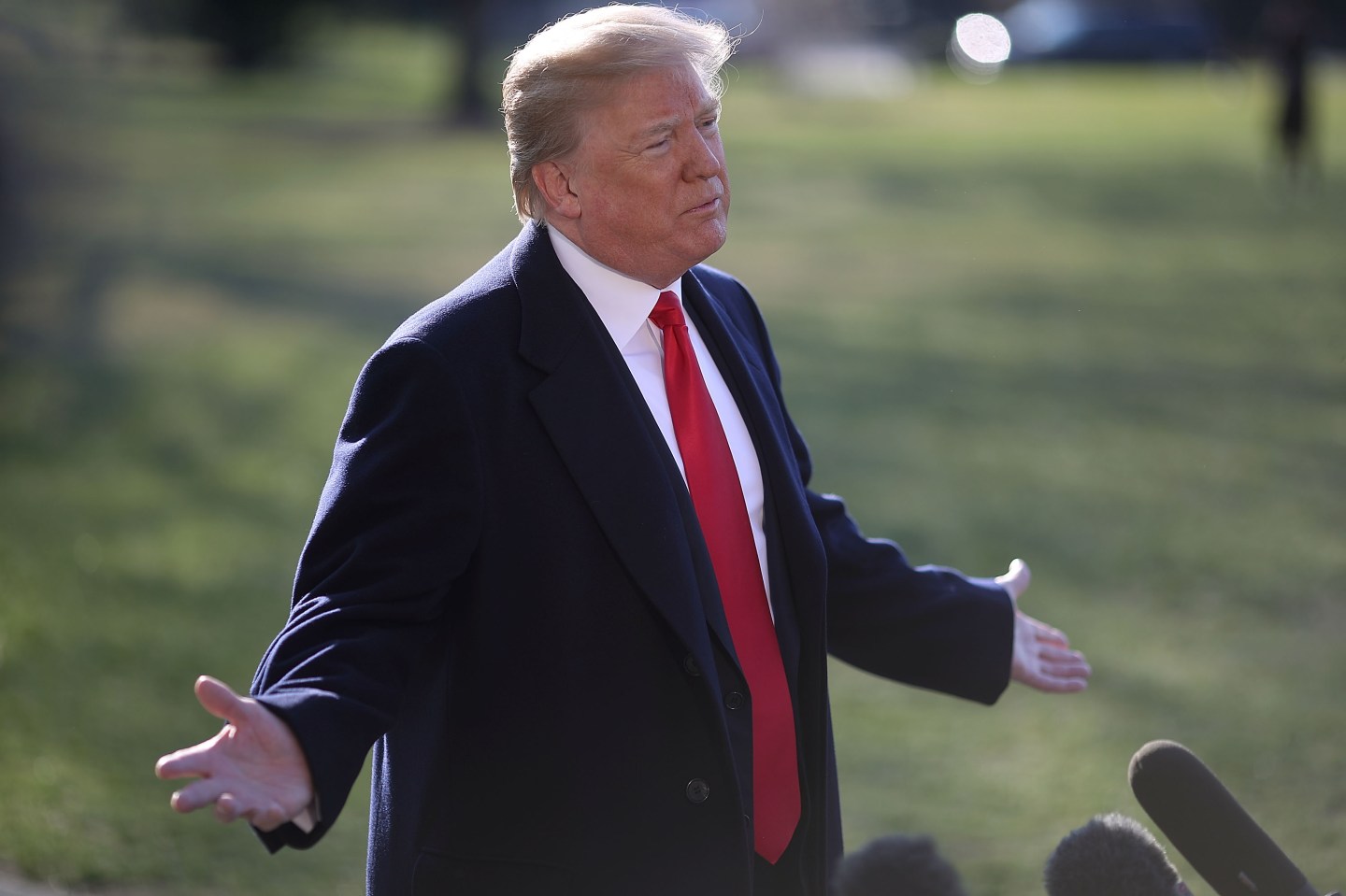 Trump Amazon Stock Price