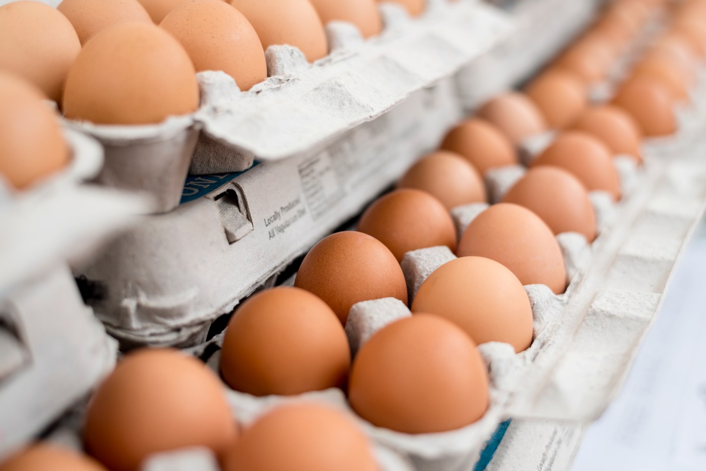 Salmonella egg recall