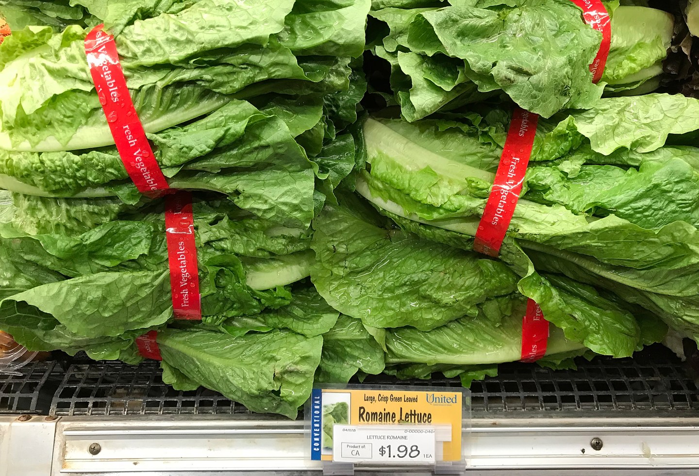 CDC Warns Americans Against Eating Romaine Lettuce After E Coli Outbreak