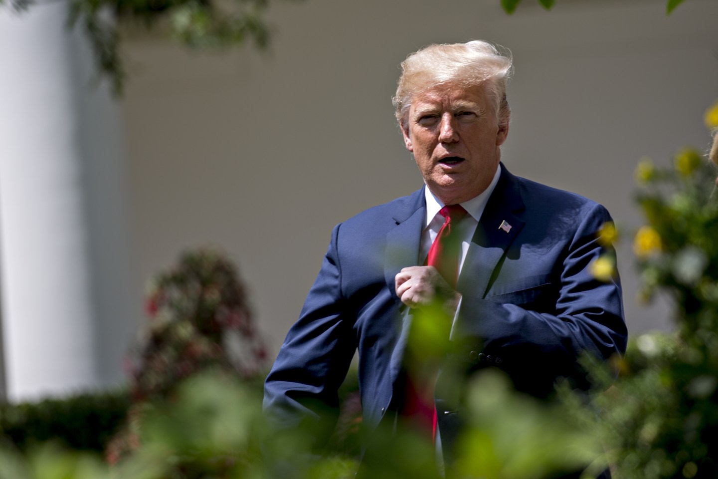 Trump appears above foreground bush at White House