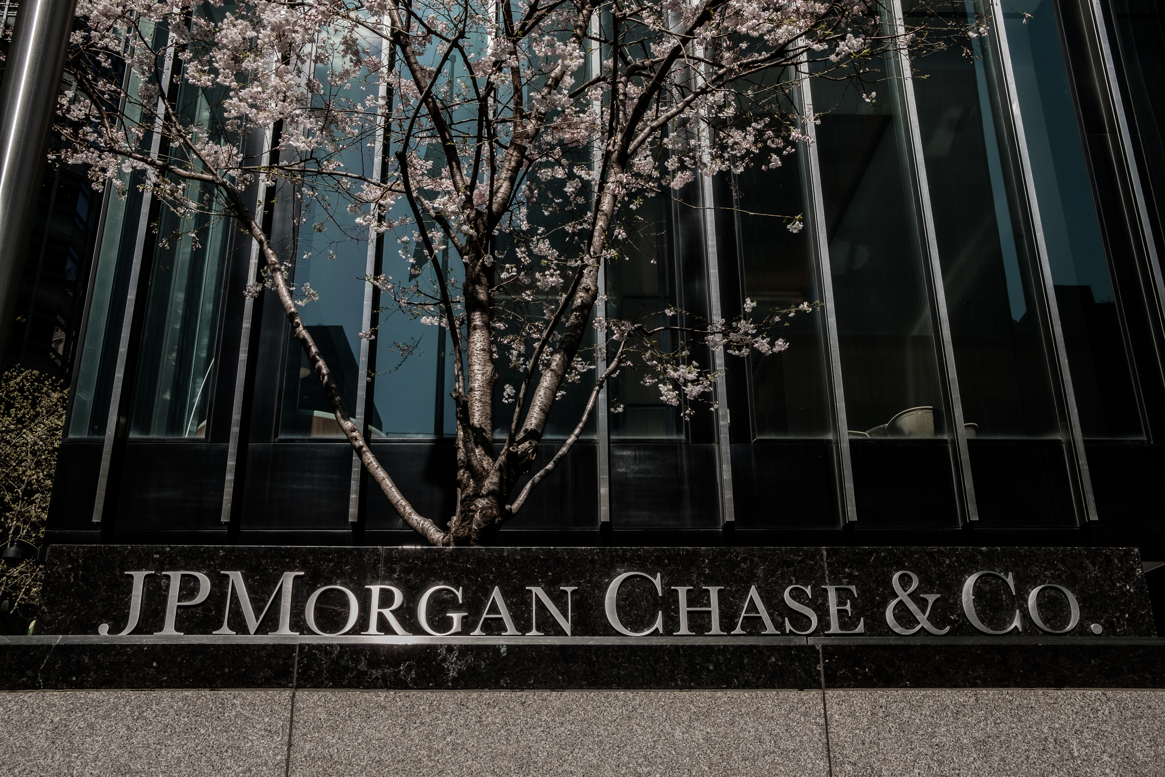 J.P. Morgan Names Head of Crypto-Assets Strategy, Oliver Harris | Fortune
