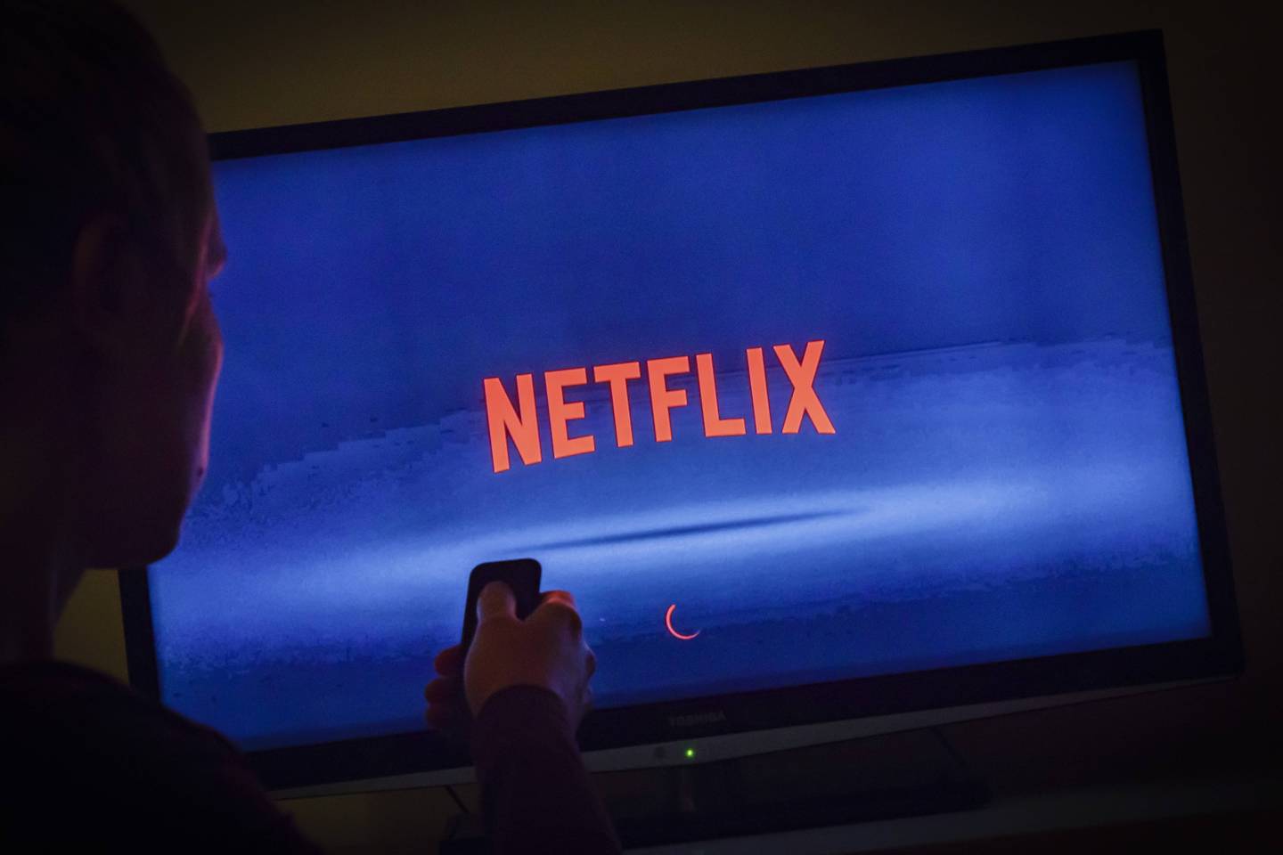 Netflix Streaming Service