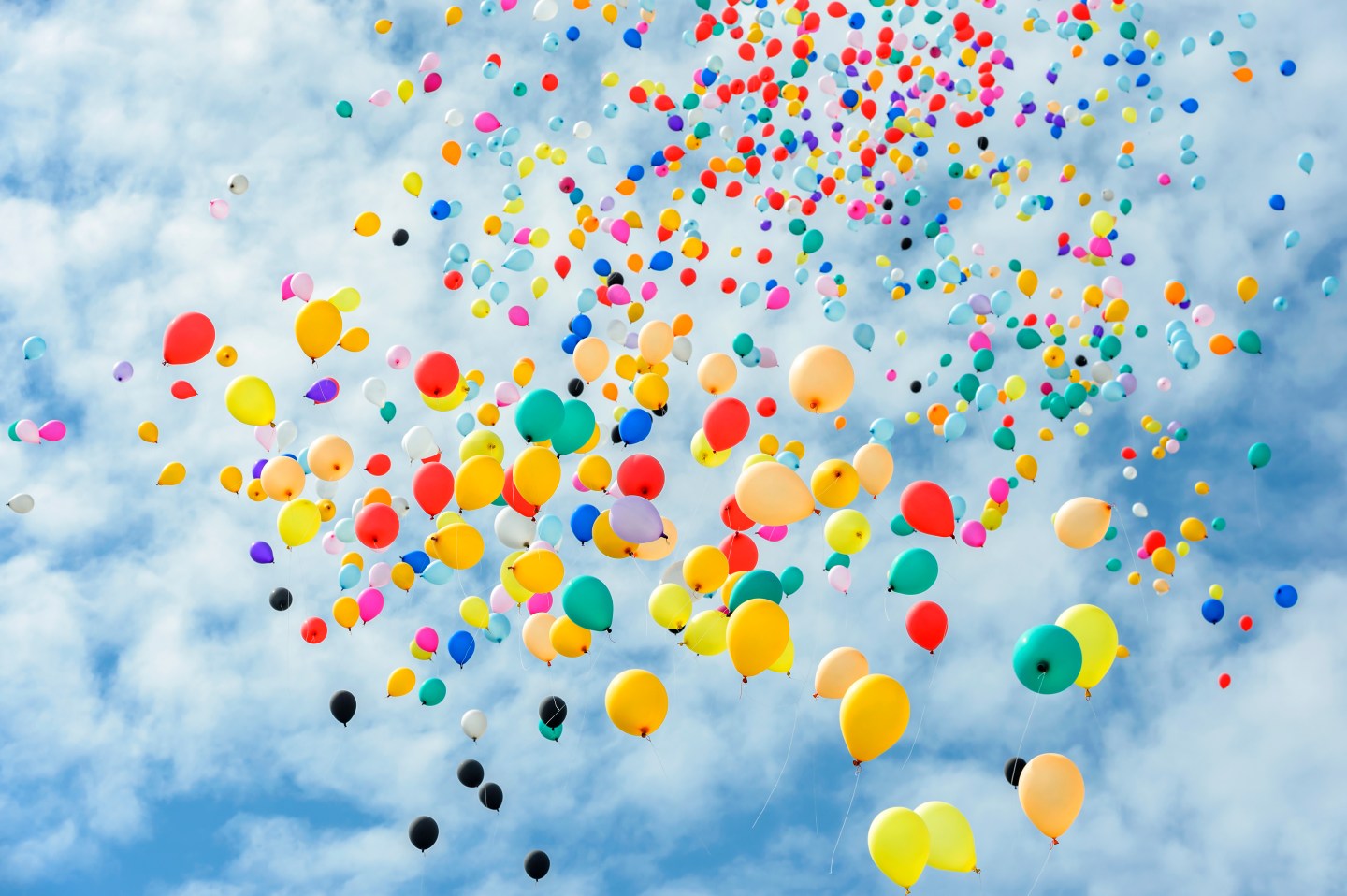 Multicolored balloons flying to the sky.