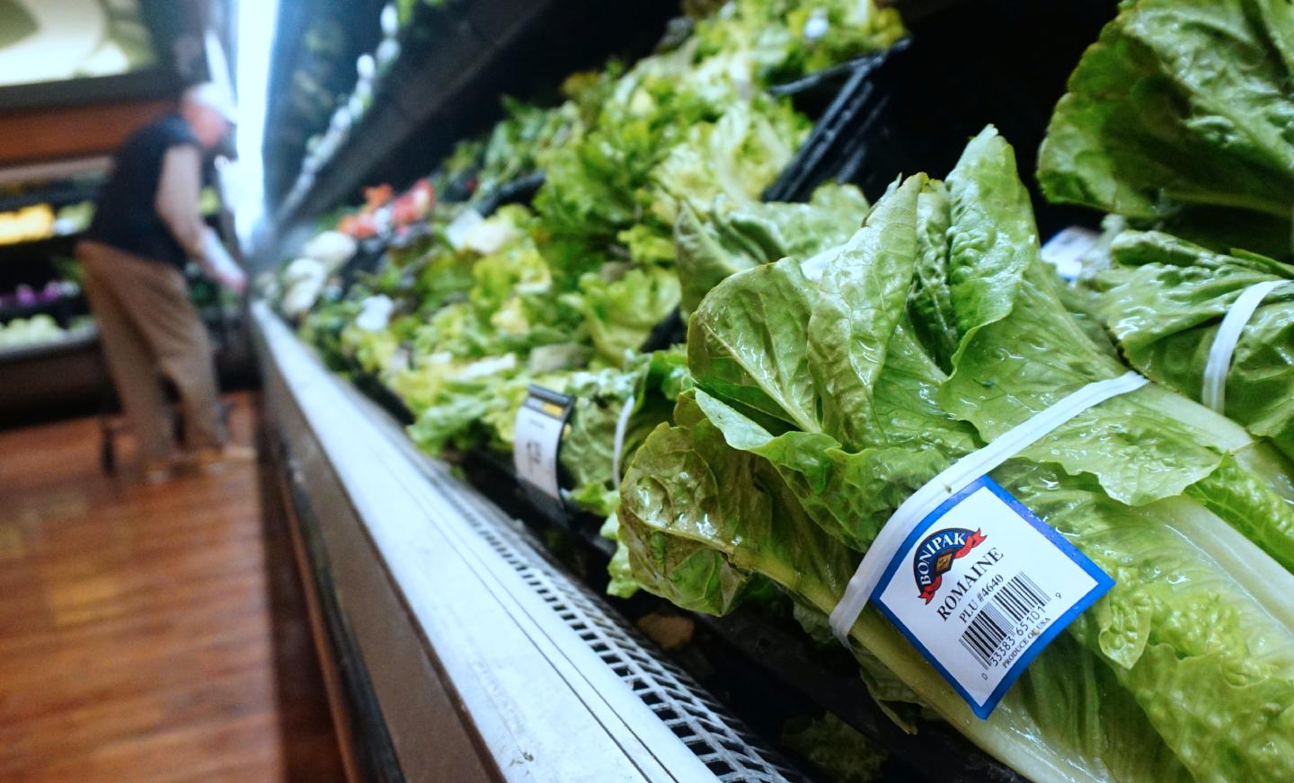 US-E COLI-LETTUCE