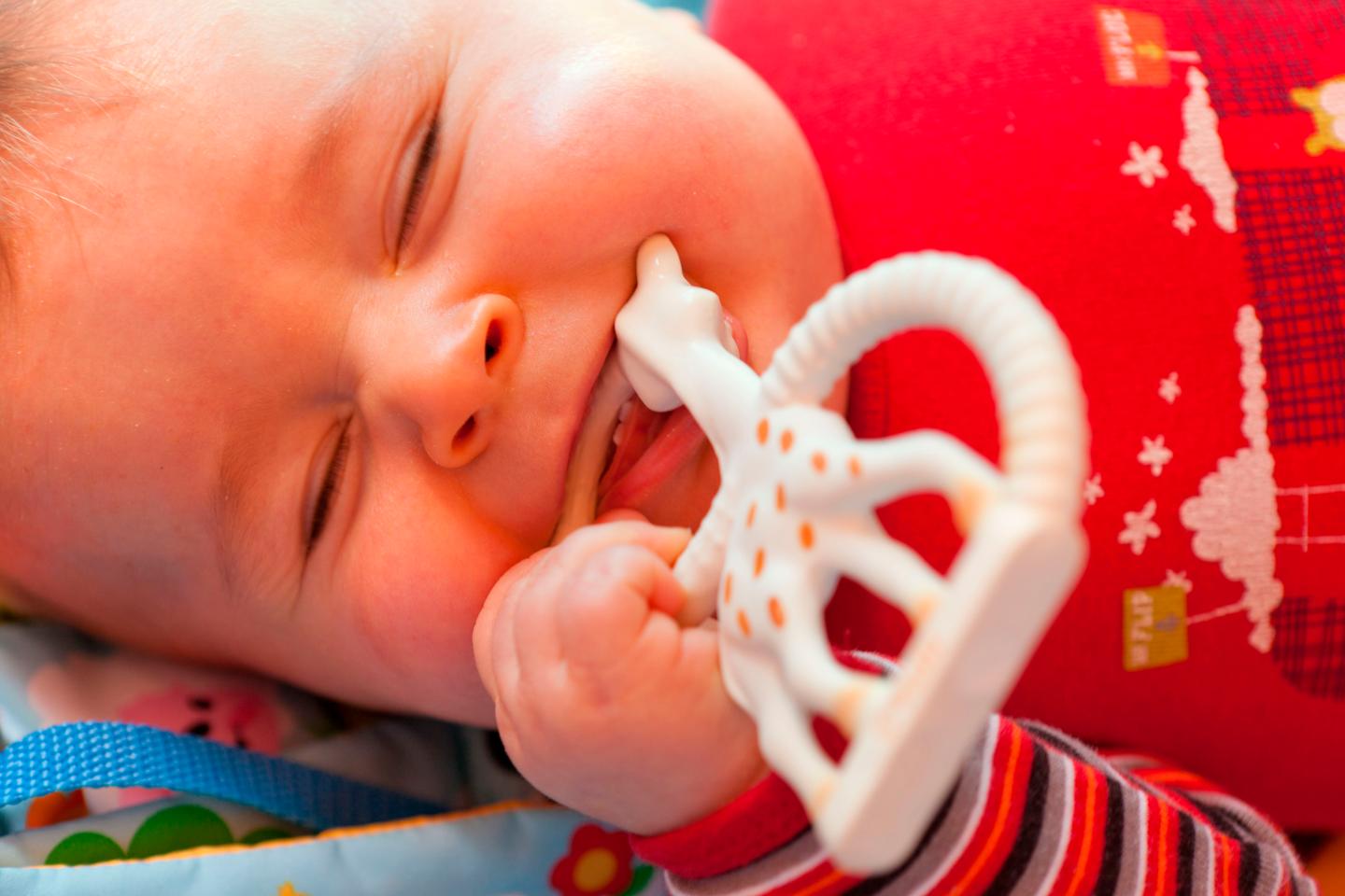 Infant Portrait