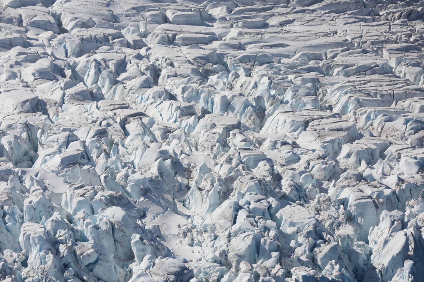 A glacier in Half Moon Bay, Antarctica