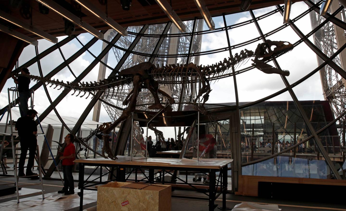 Workers reconstruct dinosaur fossil at the Eiffel tower, in Paris