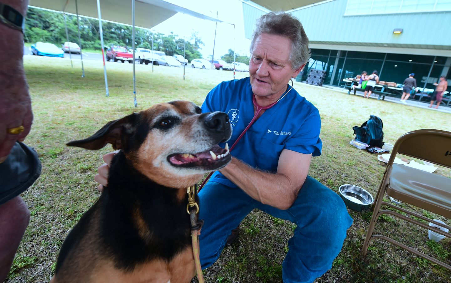 A veterinarian checks on a dog at the Pahoa Community Center in Hawaii.