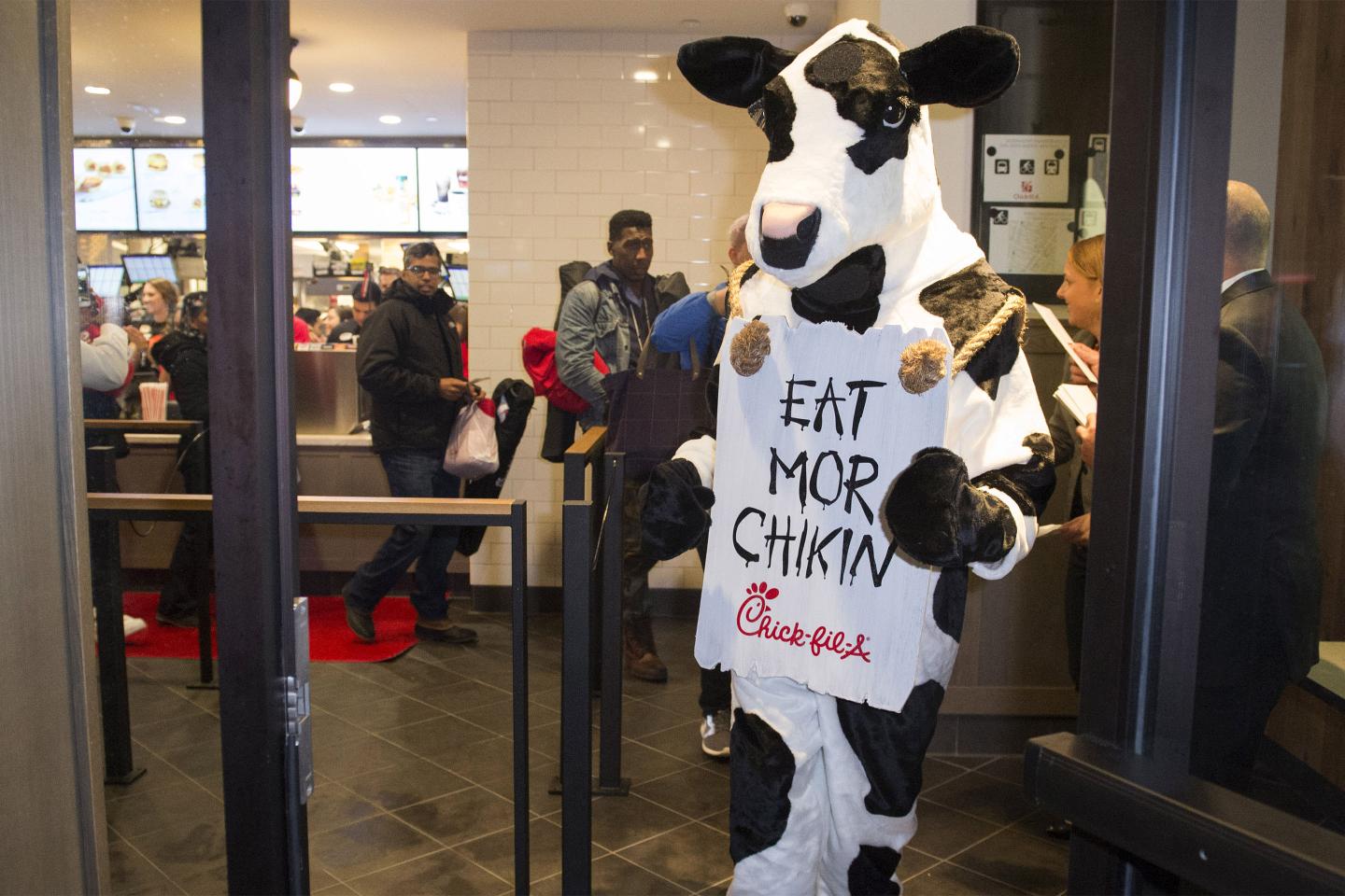 Chick-fil-A-cow-calendar