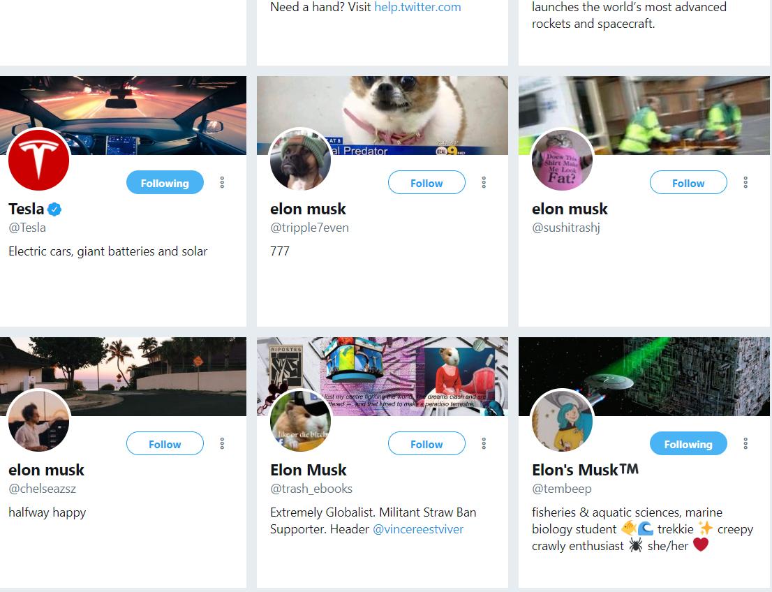 A Field Guide to Twitter’s Fake Elon Musks