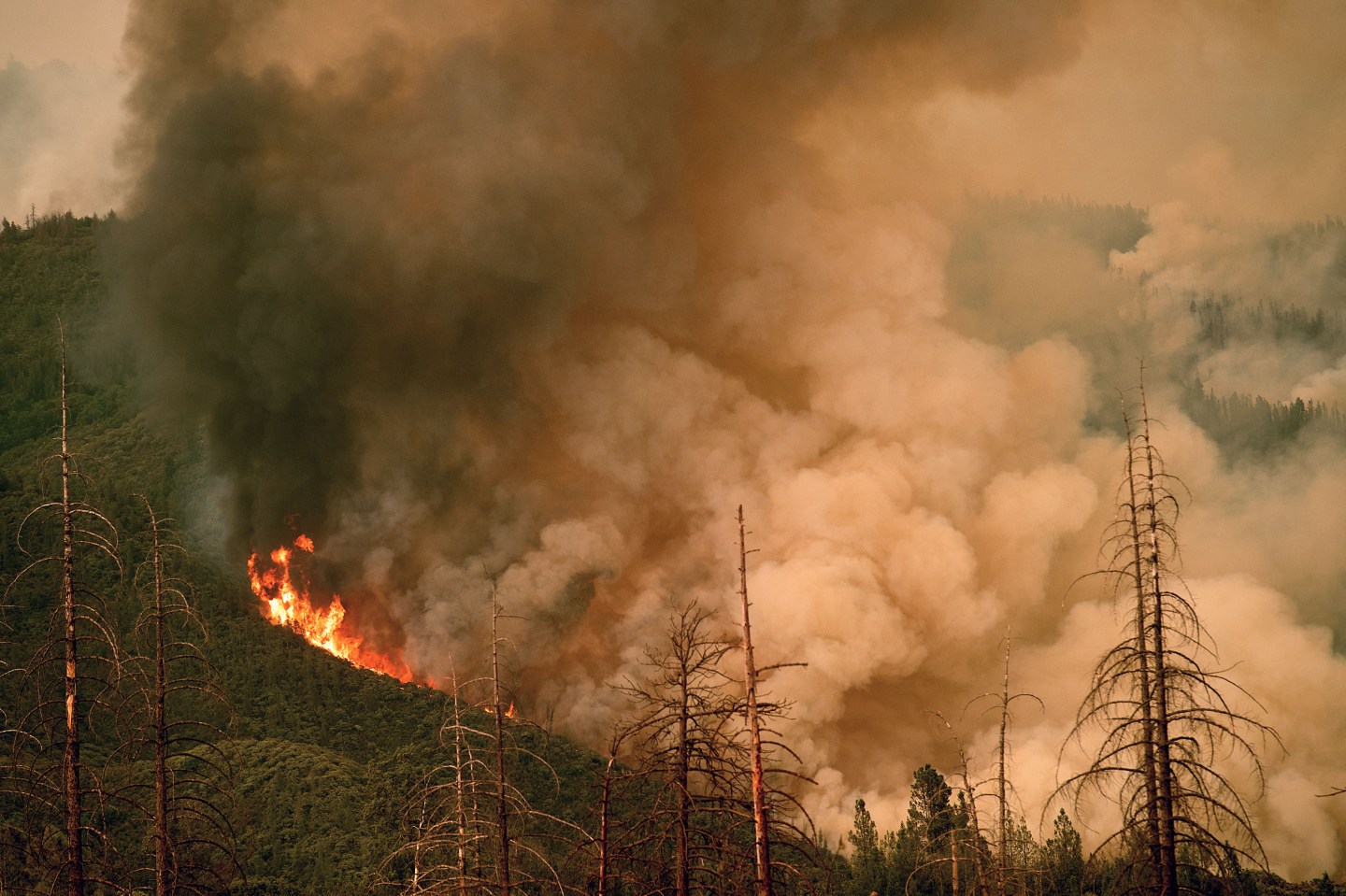 US-ENVIRONMENT-FIRE-YOSEMITE