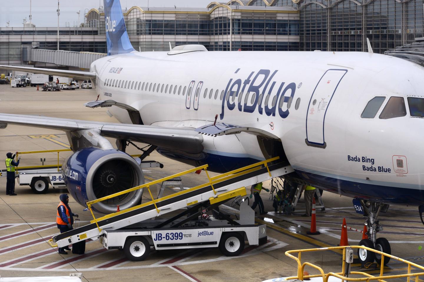 JetBlue Crew Saves Dog In Distress With Oxygen Mask