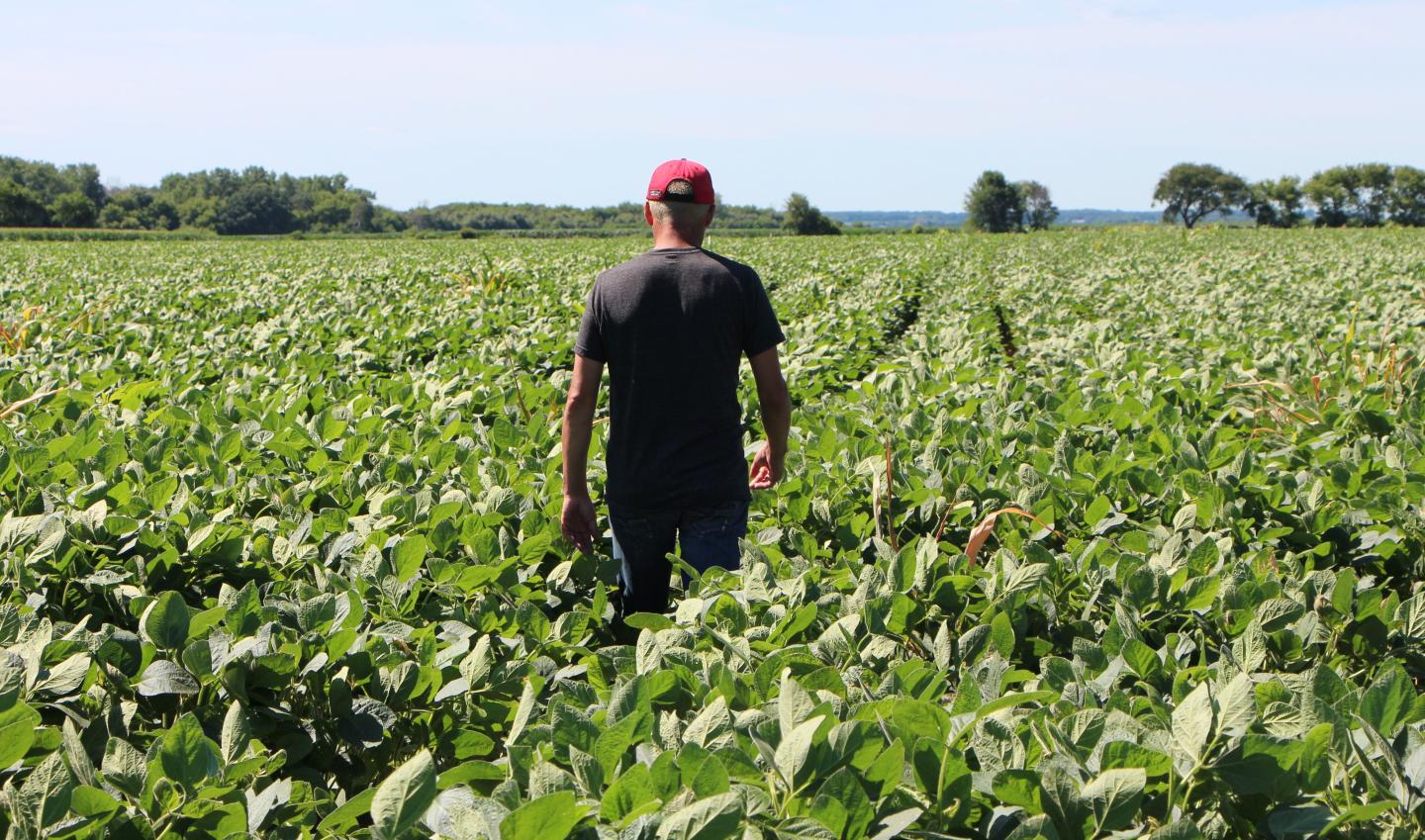 US-CHINA-TRADE-TARIFF-POLITICS-FARMS