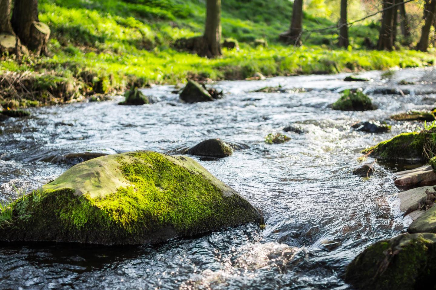 Close-Up Of Water Flowing Through Rocks