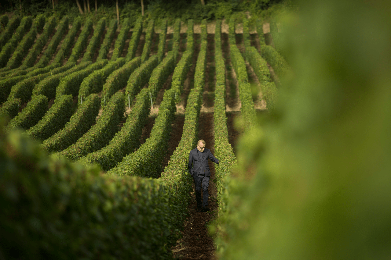 Dom Pérignon Is Undergoing a Changing of the Guard