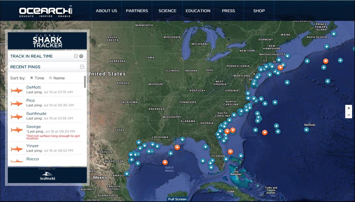 shark tracker
