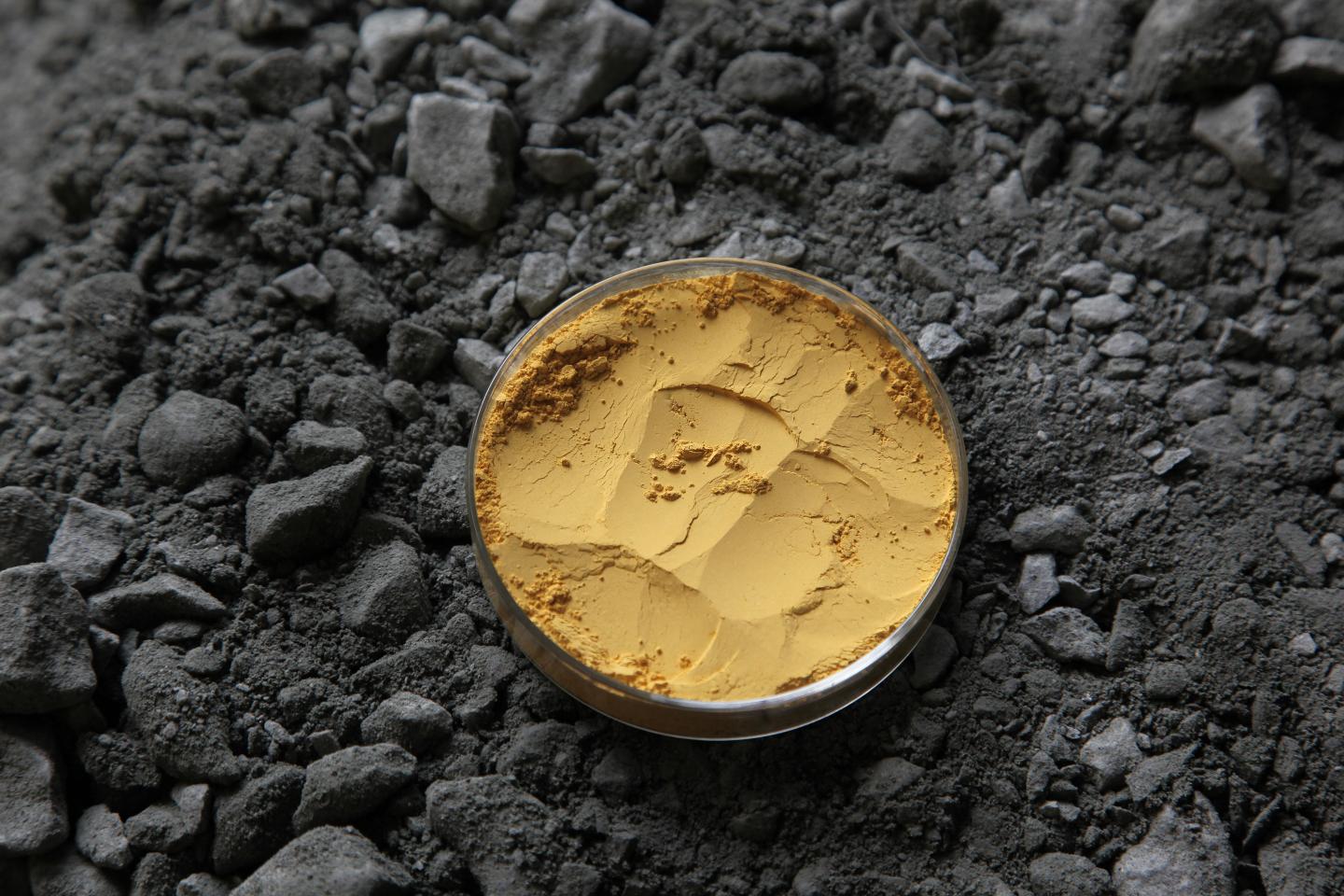 Uranium-samples