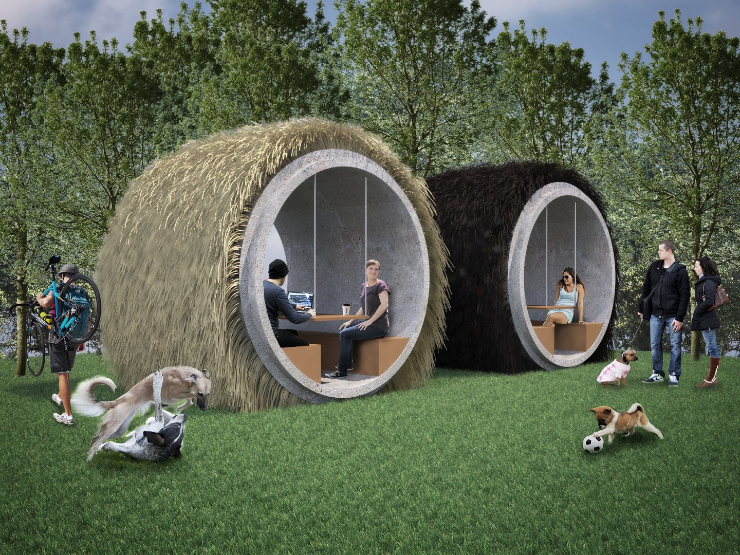 BarkPark Rendering 1