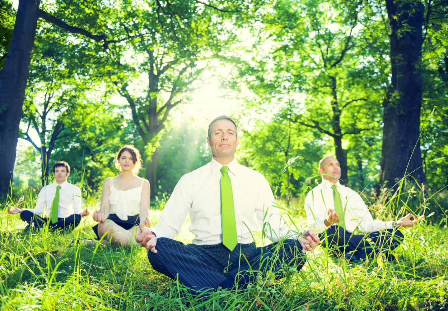 Green Business Team in the Park