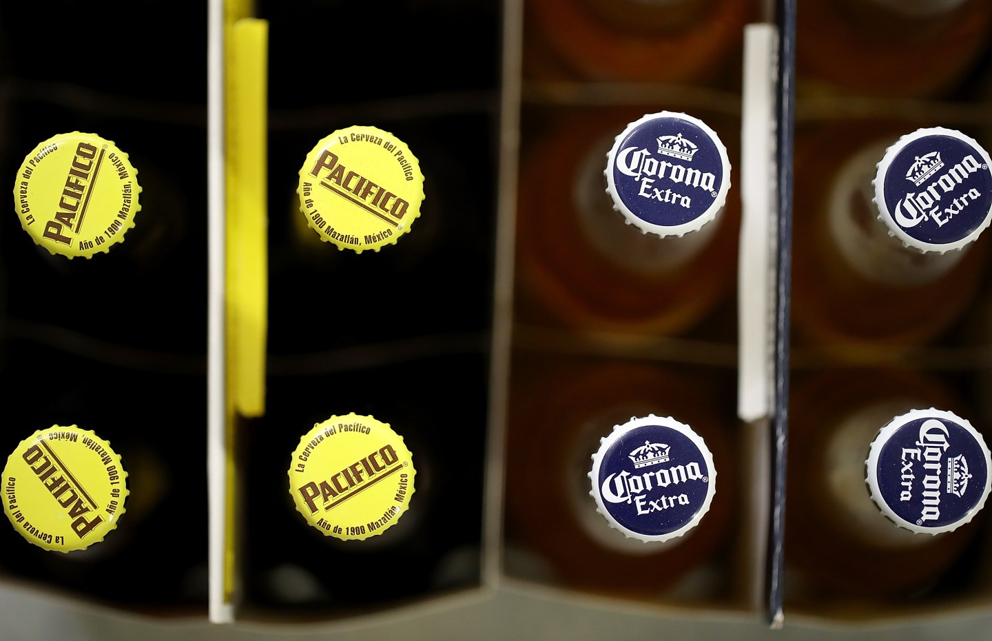 Beer Giant Constellation