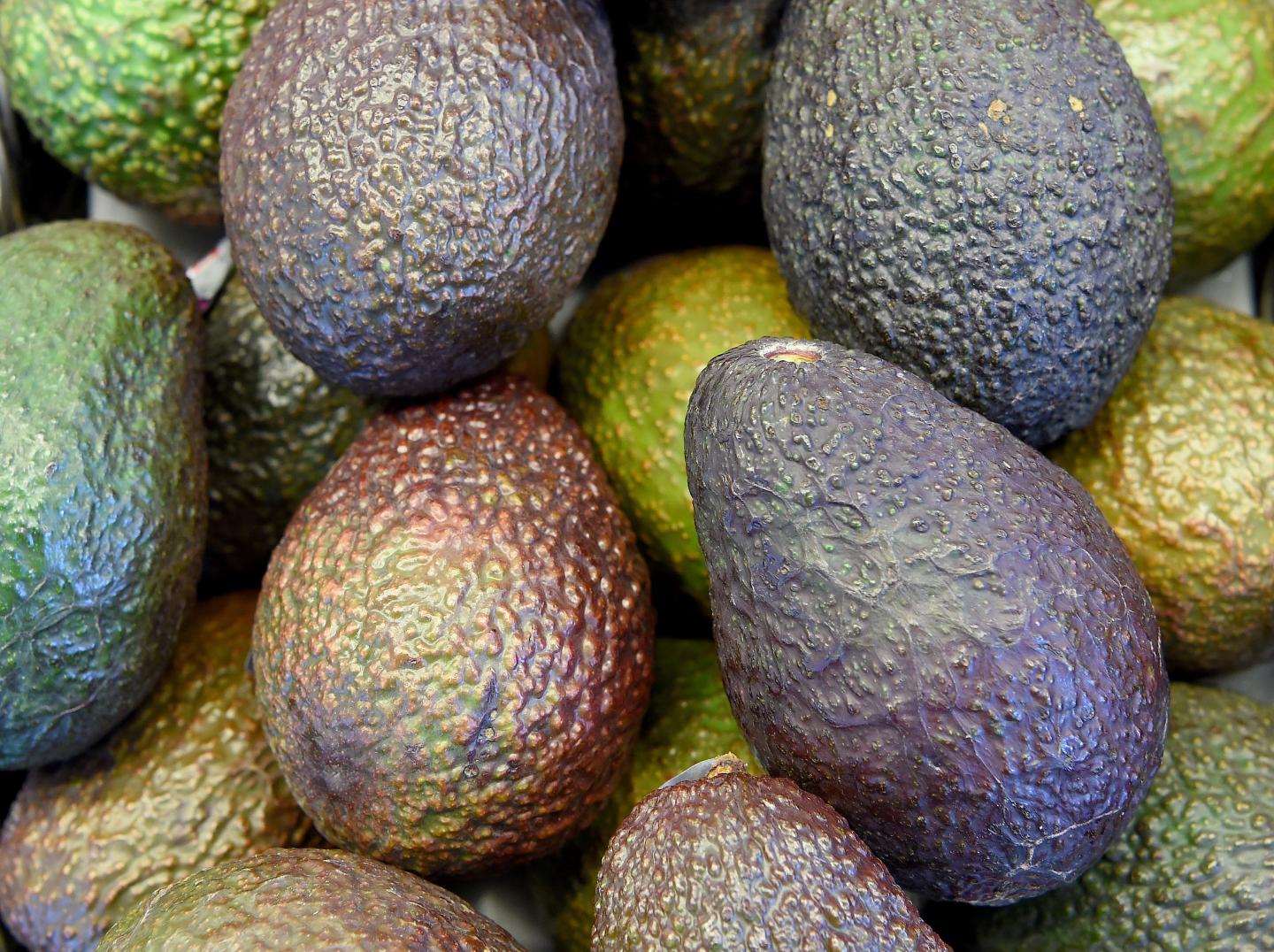 Avocados