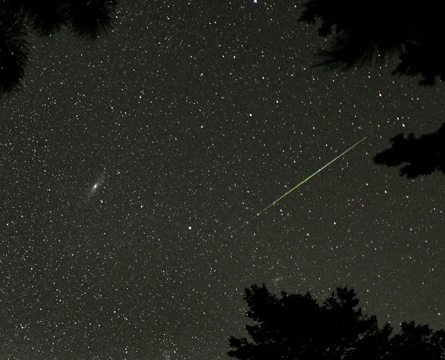 US-ASTRONOMY-METEOR-PERSEID