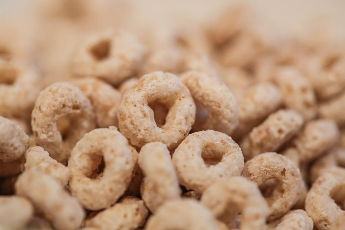 Breakfast Cereal
