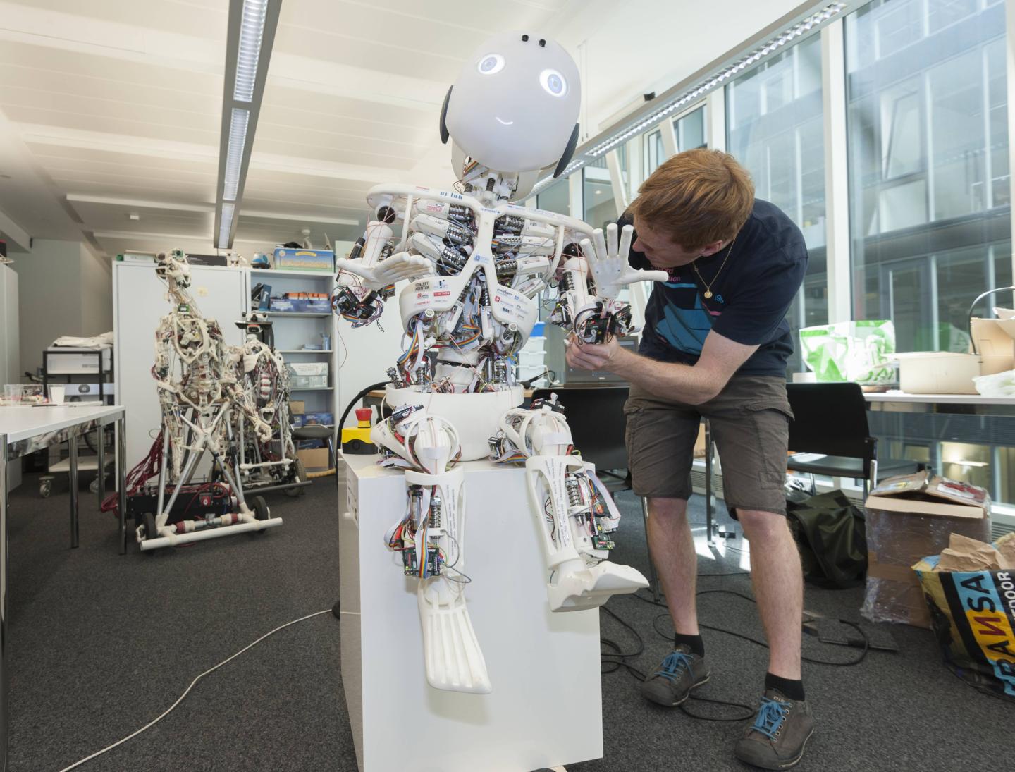 ROBOY humanoid robot