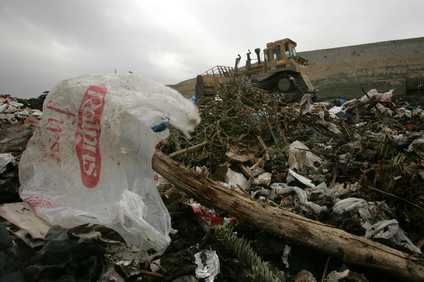 Kroger Will Eliminate Plastic Bags in Its Grocery Stores by 2025