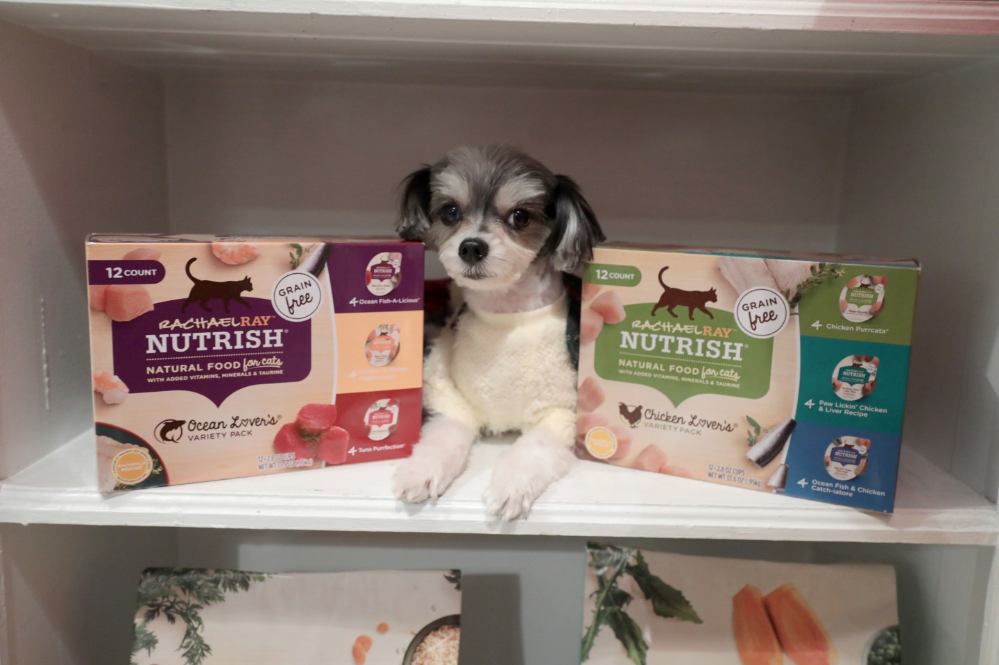 Rachael Ray Celebrates The 10th Anniversary Of Her Pet Food Brand, Nutrish