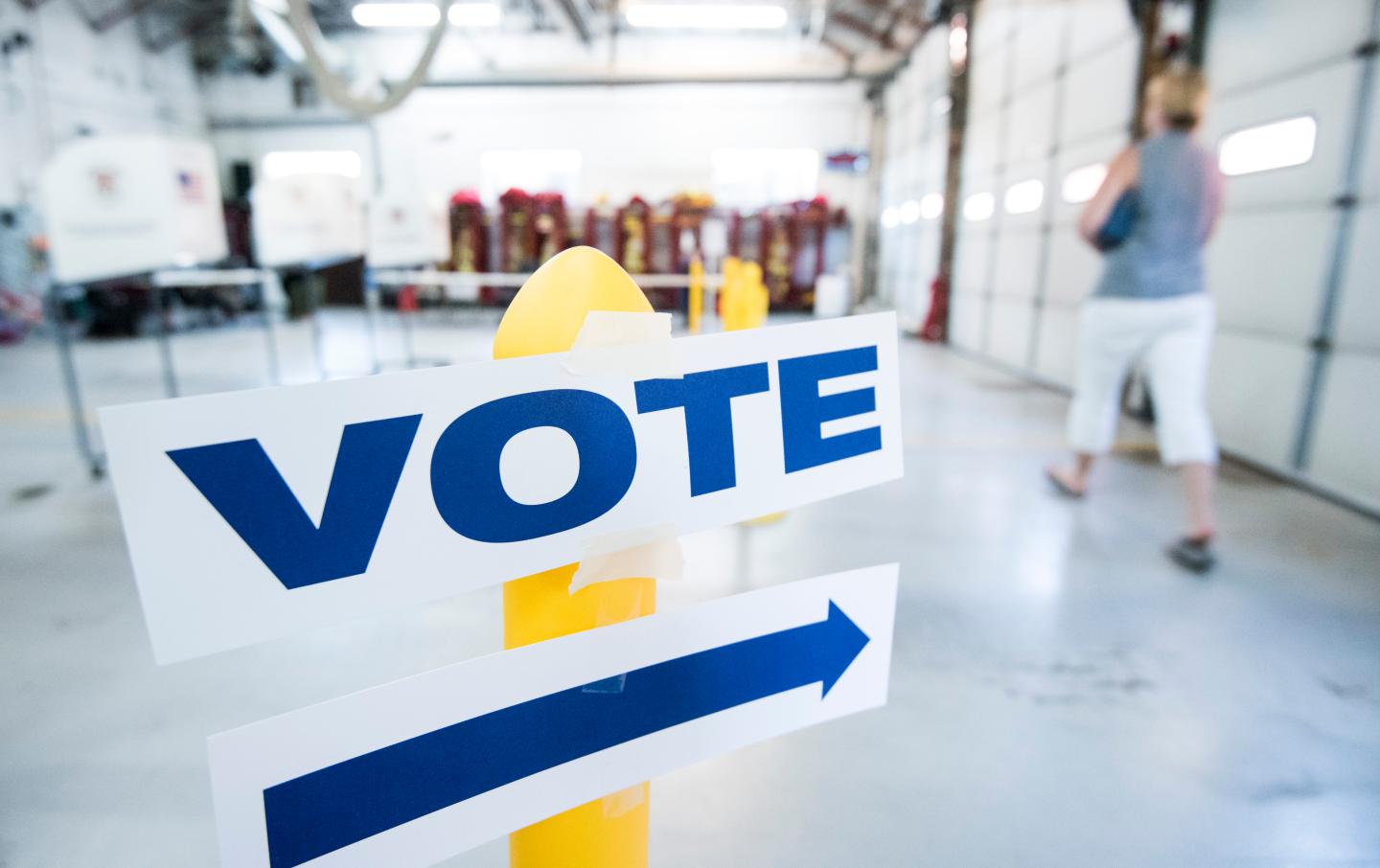Virginia Primary Election