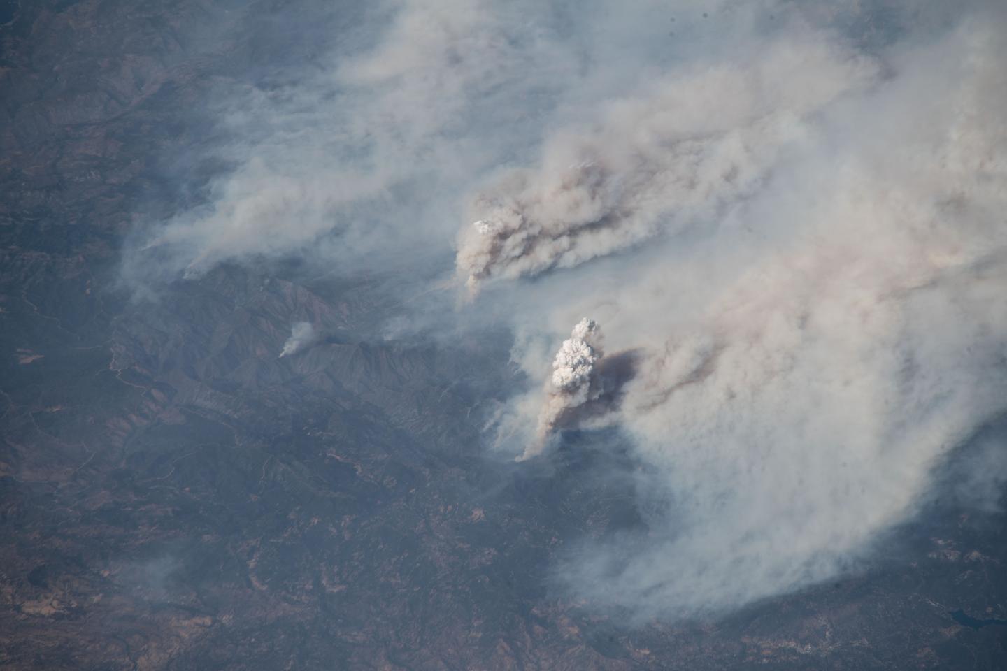 These Photos From Space Show the Scorching Effects of This Summer’s Heat