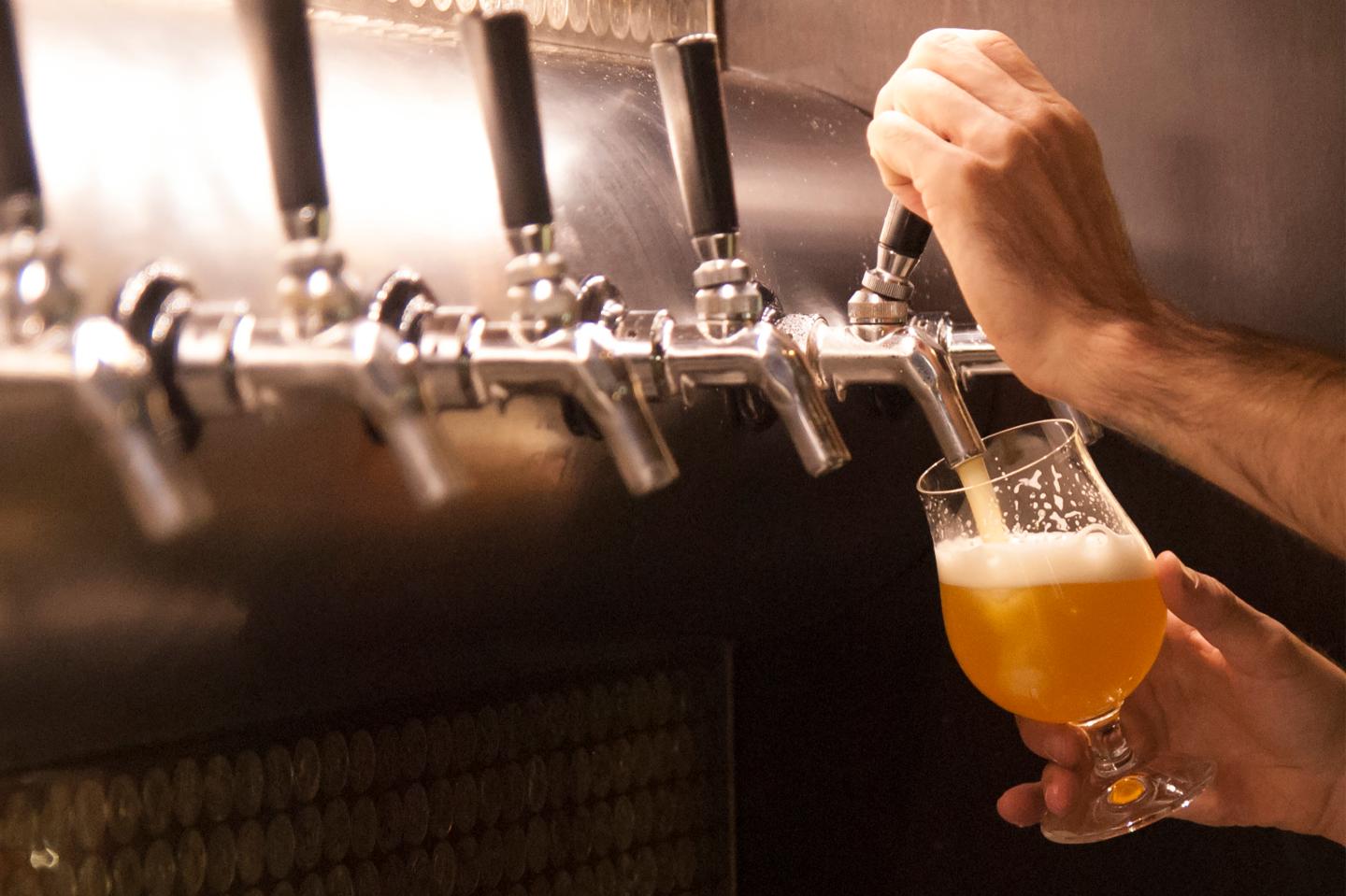 national-ipa-day