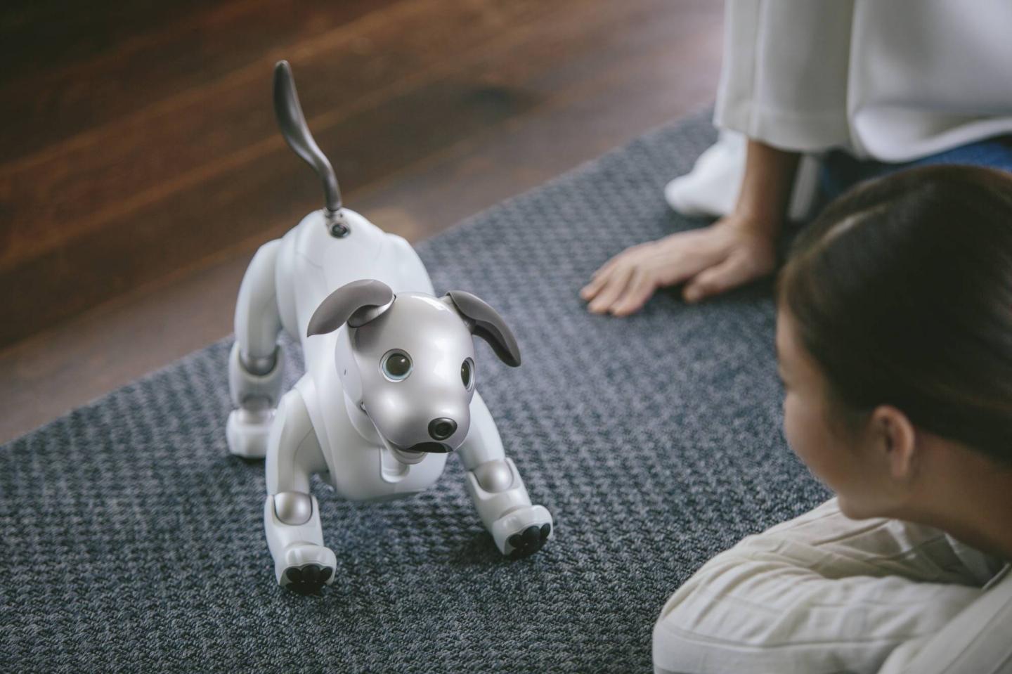Everything You Want to Know About Sony’s New $2,900 Robotic Dog Aibo