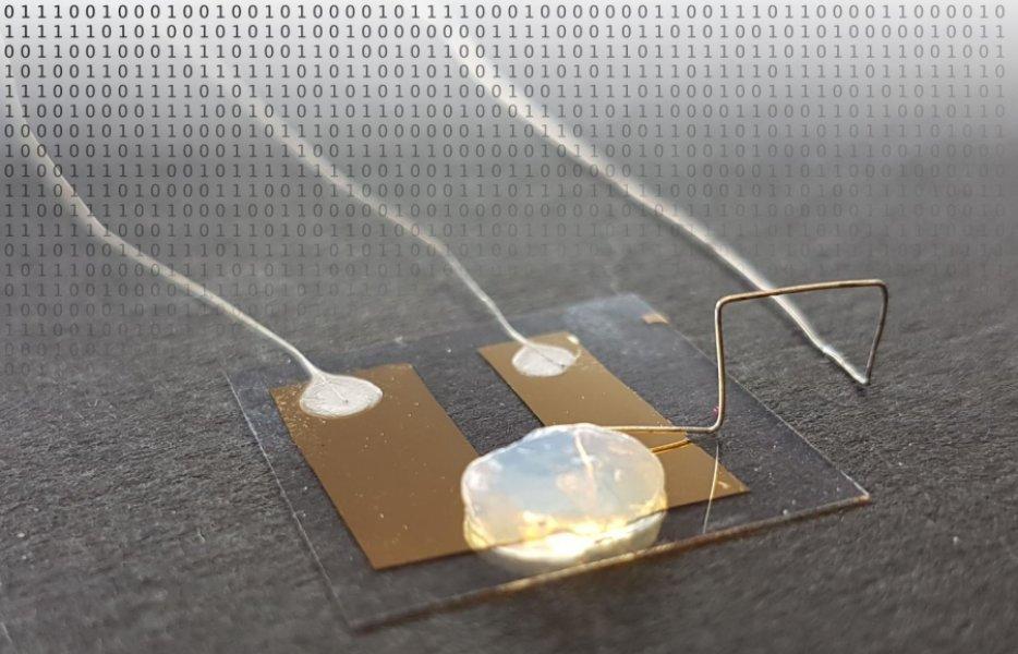 microscopic transistor