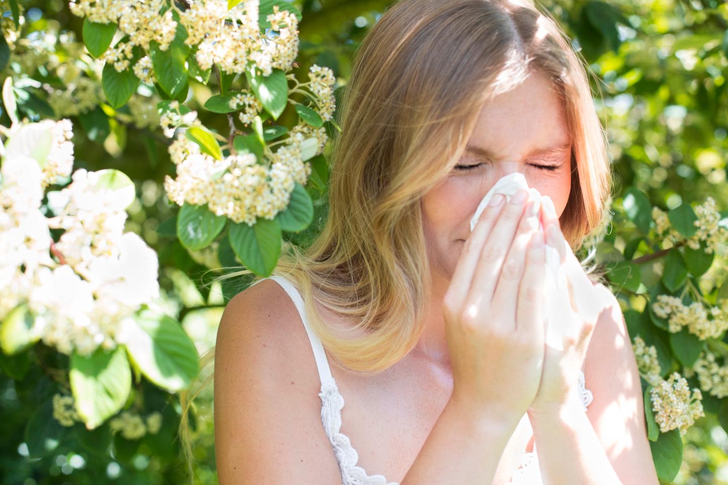 Flu season 2018 2019