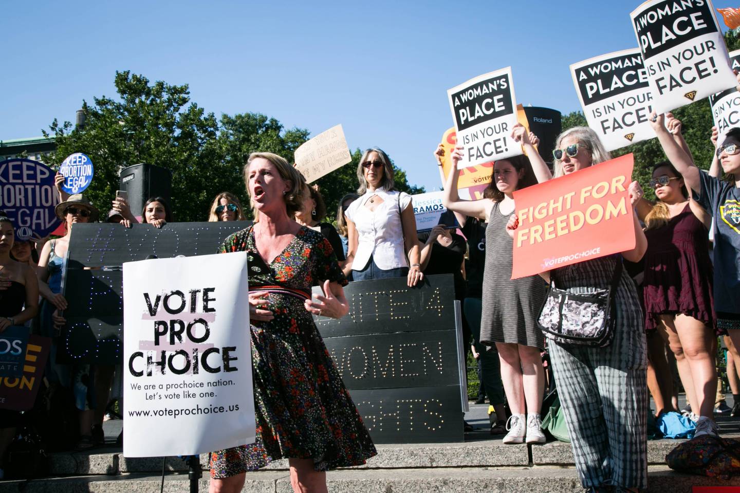 Rally to Save Roe In New York