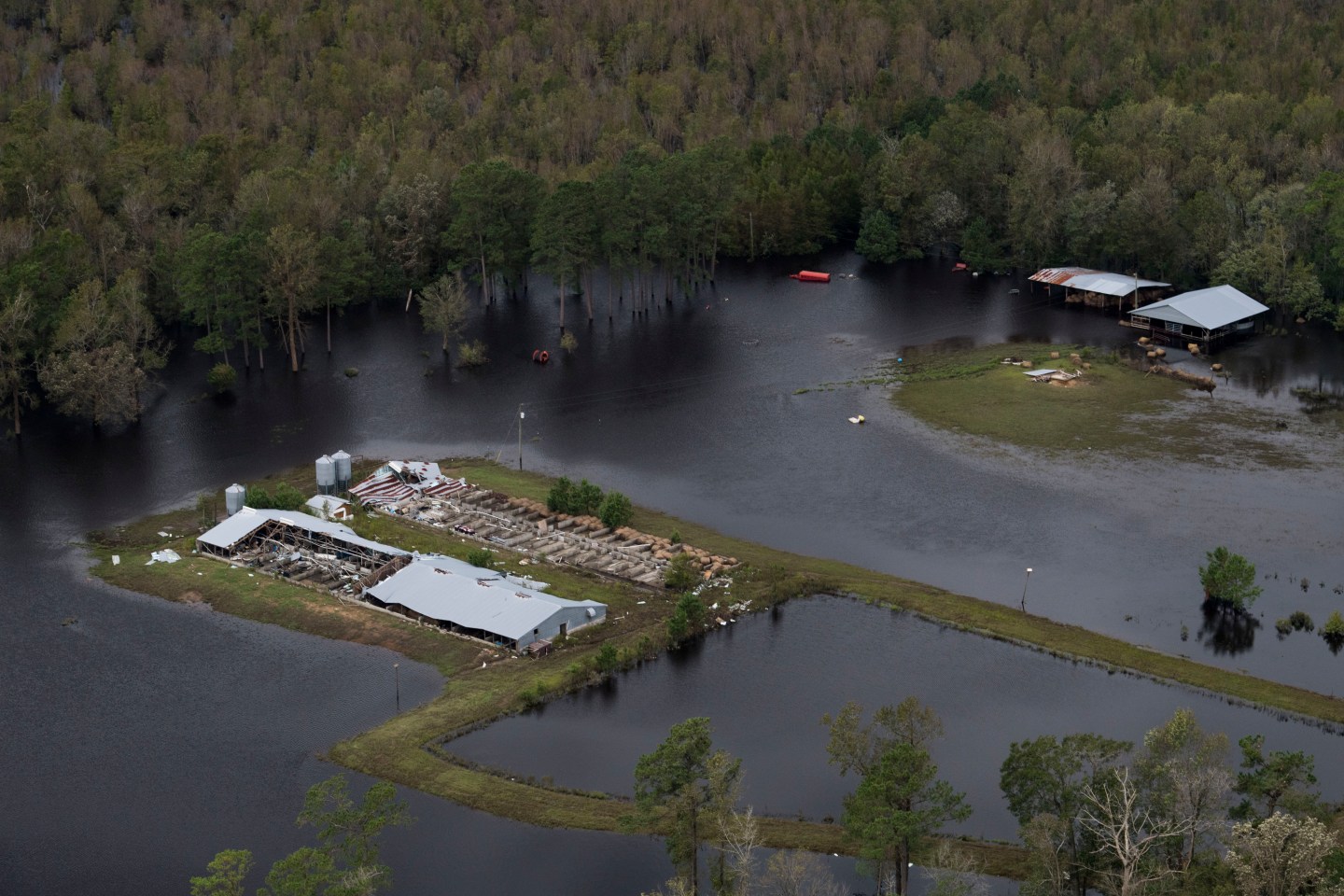Flooding and wind damage from Hurricane Florence is seen on farmland near Half Moon, NC on Sept. 17, 2018.
