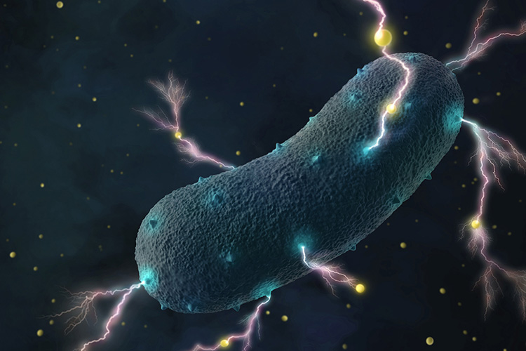 Bacteria in Your Gut That Can Cause Diarrhea Can Also Generate Electricity