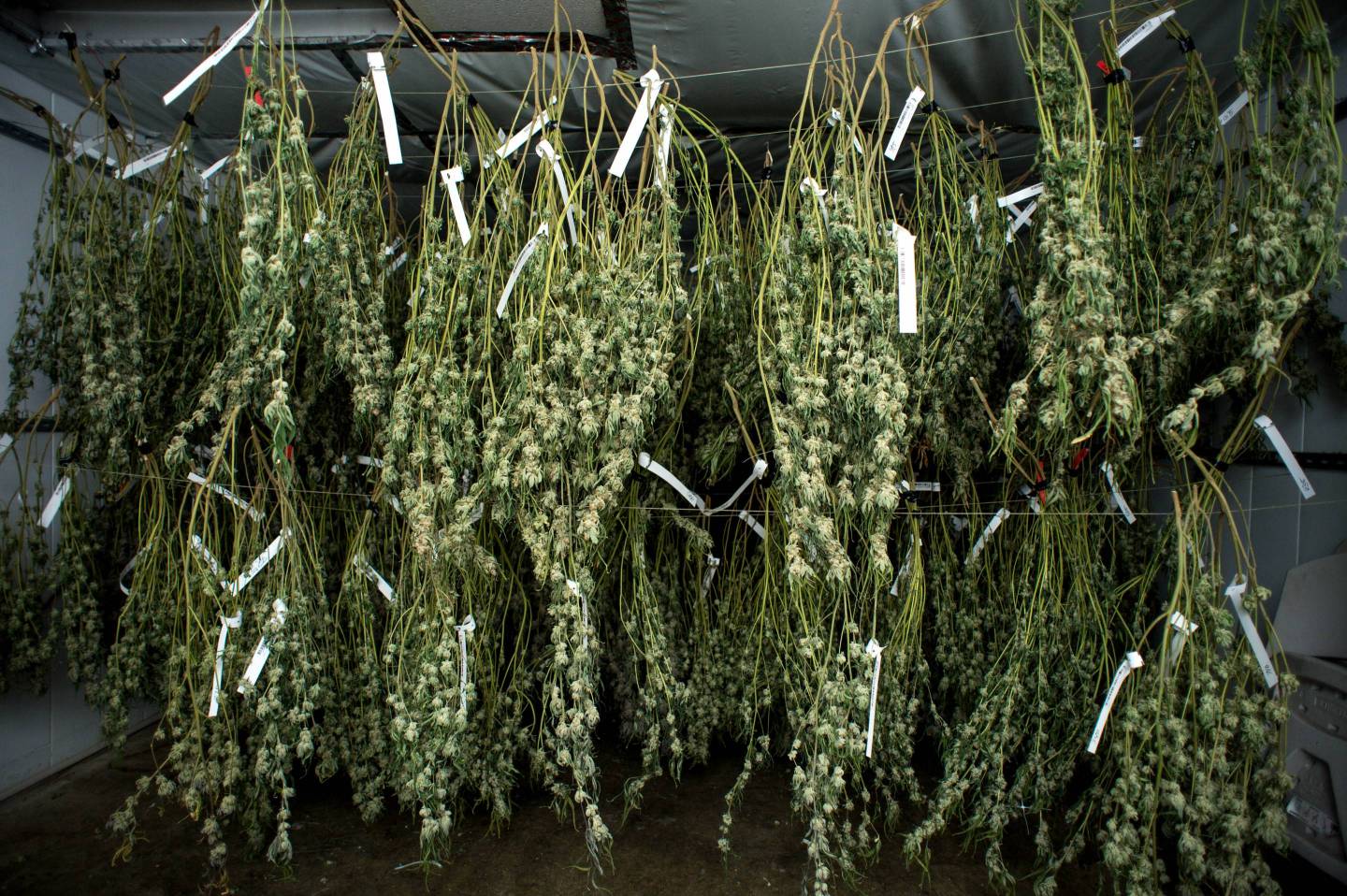 Marijuana “Seed-To-Sale” Tracking System