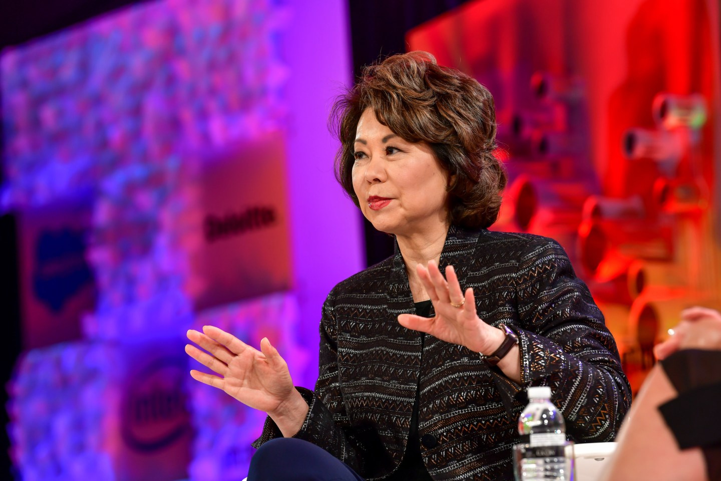 Elaine Chao, U.S. Secretary of Transportation