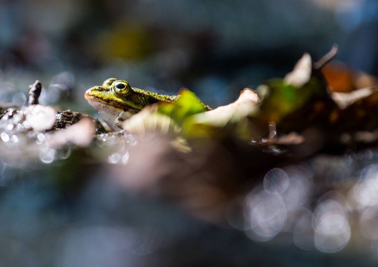 Developer Startup JFrog Scores $165 Million In Funding