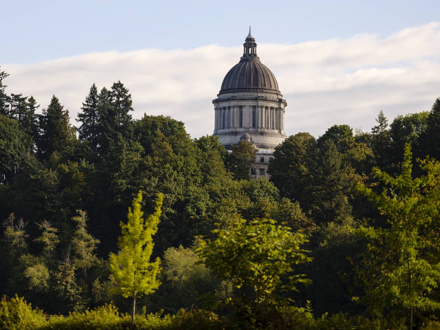 You're Going Where?  Olympia, Washington Travel Story