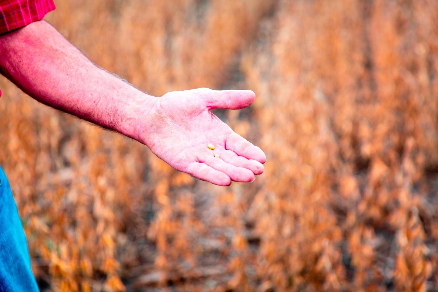 US-POLITICS-VOTE-ECONOMY-AGRICULTURE