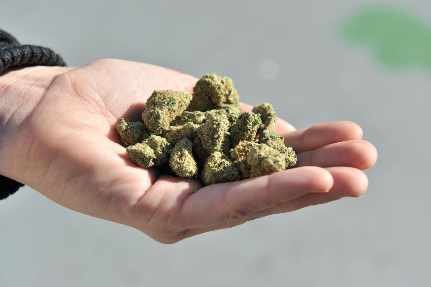 CANADA-DRUGS-CANNABIS