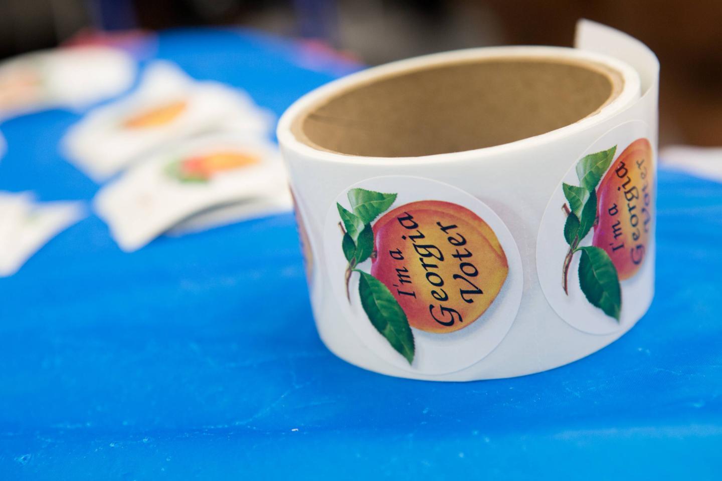 Georgia Voting