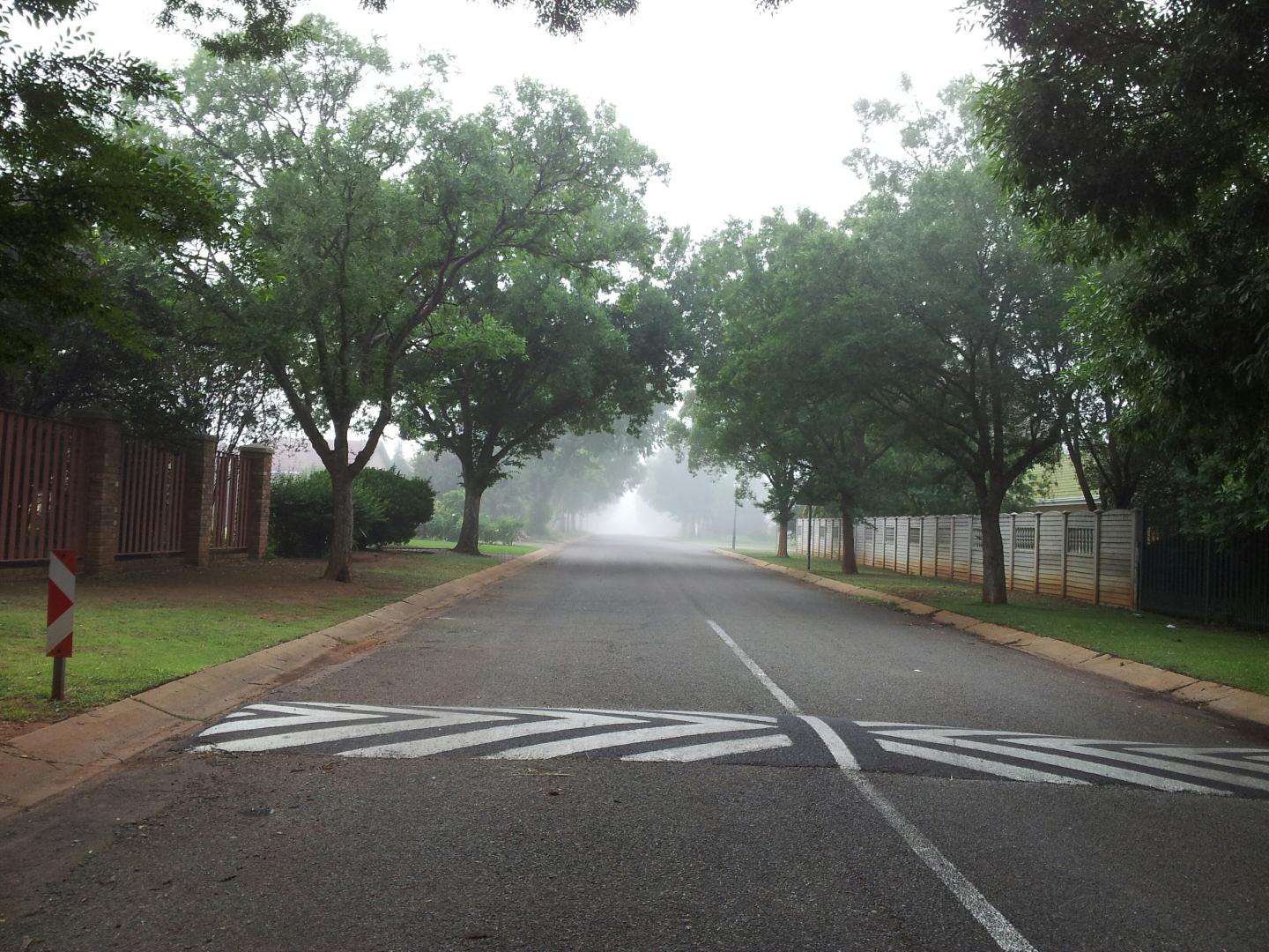 Speed Bump On Road Amidst Trees